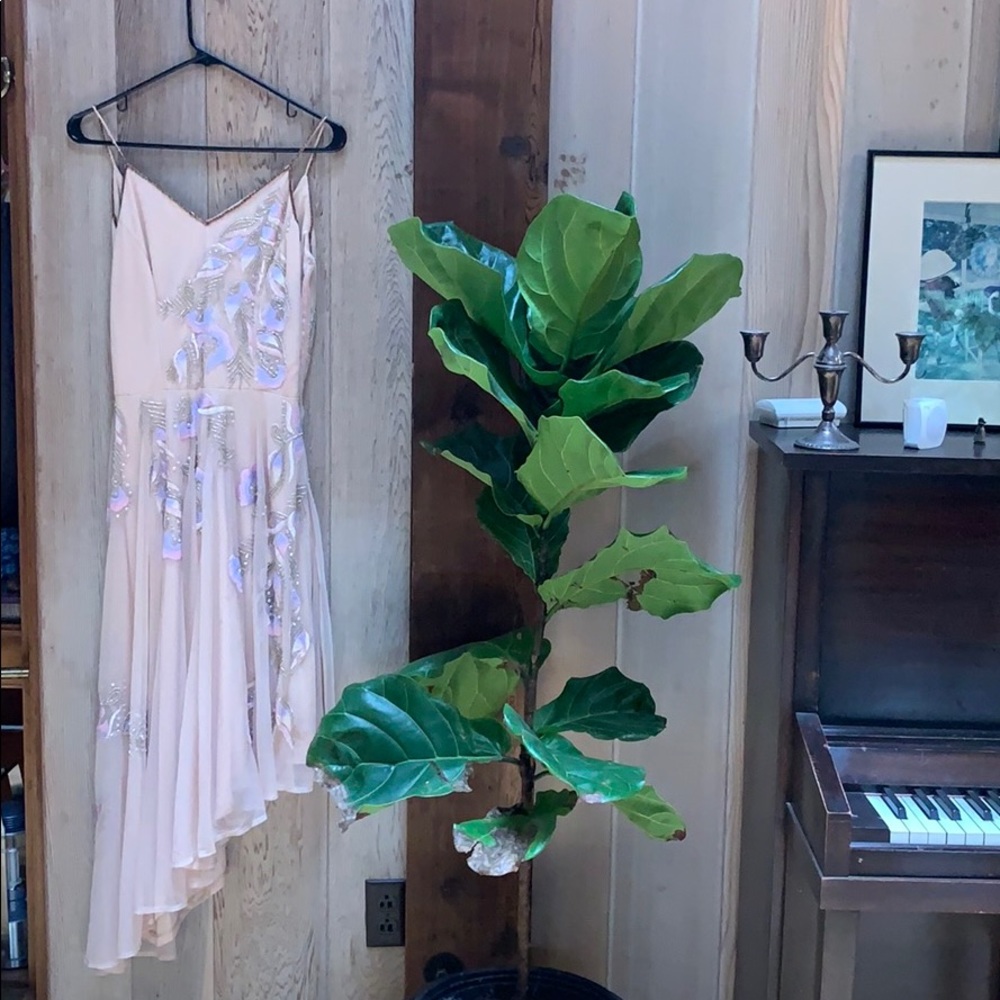 Frock and Frill Beaded Asymmetric Midi Dress